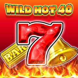 Wild Hot 40